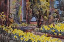 Daffodils, April 14th, 19th by Beatrice Cummings