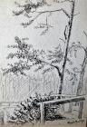 Tree, April 7th, 1892 by Annie Cummings