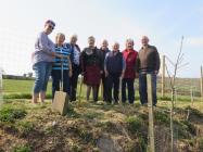 Group planting Powys Brecknock Federation