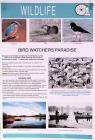 Bird Watchers Paradise, Hook, Pembrokeshire