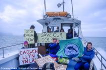 Friends of Cardigan Bay Oil Exploration Protest