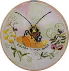 Long Horned Bee by Diana Jones