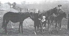 WW1 photograph of Albert Crandon