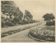 The Lily Pond, The Knap, Barry