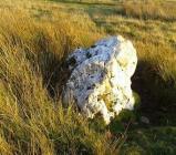Quartz standing stone, Elan Valley