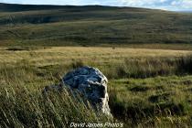 Quartz standing stone with landscape view