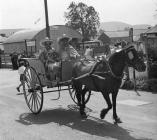 Pony and cart at Rhayader Carnival, ?1950s