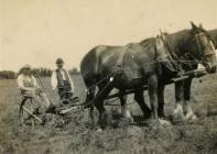 Thomas Rees on Nantllan farm, Llandefaelog,...