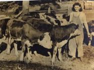 Rina Sidoli with cattle, Women's Land Army