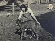 Rina Sidoli with calf, Women's Land Army