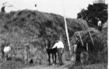 Hay Making, 1931