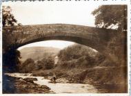 Dolauhirion Bridge 1920s, Llandovery,...