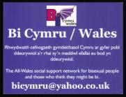 Bi Cymru/Wales Flyer