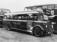 A Western Welsh Leyland TS8 Bus