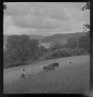 Ploughing with horses in the Conwy valley