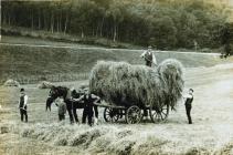 Harvesting at Cwmffynonau Farm, Radyr