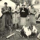 Photograph: Judging chickens, Anglesey
