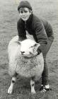 Photograph: Boy and his sheep, Anglesey
