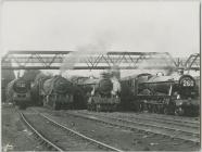 Four Steam Trains