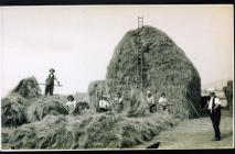 Harvesting on land farmed by Ben Jackson at...