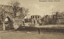 Basingwerk Abbey, Holywell - Keeper in foreground.