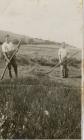 Scything meadow Cwmystwyth