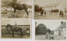 Selection of photographs of Llandre Isaf