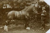 Photograph of W.R. Evans father Ben Evans ...