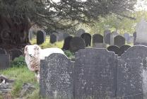 Graveyard, St Michaels Church Llanfihangel y...