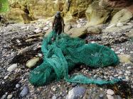 A beach clean, Skomer Island, 2015