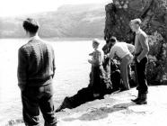 Landing at North Haven, Skomer Island, 1954/5