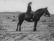 An unknown woman riding a horse, Skomer Island...