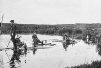 Children of the Neale family playing on North...