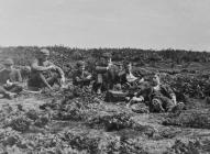 J. J. Neale with sons, Skomer Island, c.1910