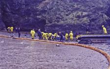 Cleaning crude oil around Skomer Island,...