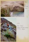 Oil spill and bird ringing on Skomer Island, 1996