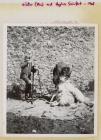 Shearing sheep, Skomer Island, 1948