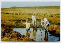 Bistort digging at South Pond, summer 1988