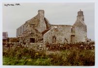 Old farmhouse from the East, Skomer Island,...