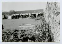 Spring cleaing on Skomer Island, March 1989