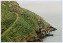 Whitsun bank holiday, Skomer Island, 1995