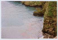 Oil from the Sea Empress disaster, Skomer...