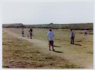 Cricket at Skomer Island, 2004