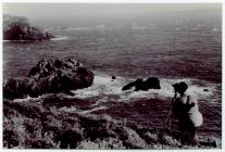 Landscape and coastline views of Skomer Island,...