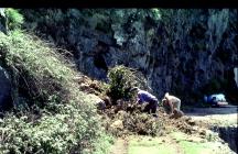 Rock fall on Skomer Island, 1996.