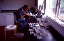 Researcher Dave Boyle, Skomer Island, 2002.