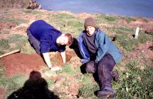Research work on Skomer Island, 1999-2002.