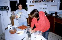 Meal times on Skomer Island, 2001-02.