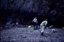 Seal survey work, Skomer Island, 1999.