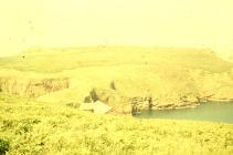 Vegetation around Skomer Island, c. 1963